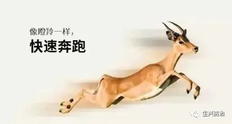 南京瞪羚企业.jpg