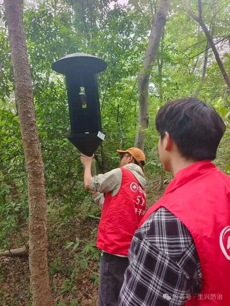 天牛诱捕器管理定期收集数据 天牛诱捕器管理定期收集数据