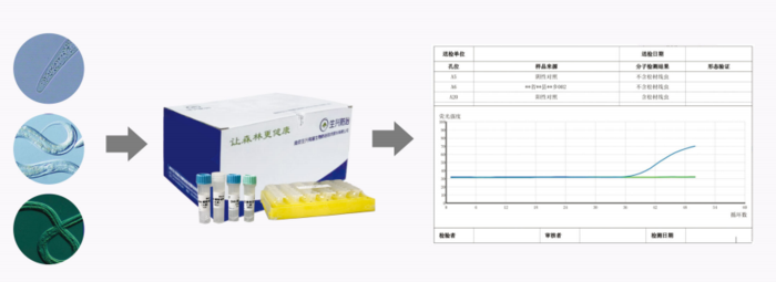 松材线虫实时荧光定量PCR检测方法