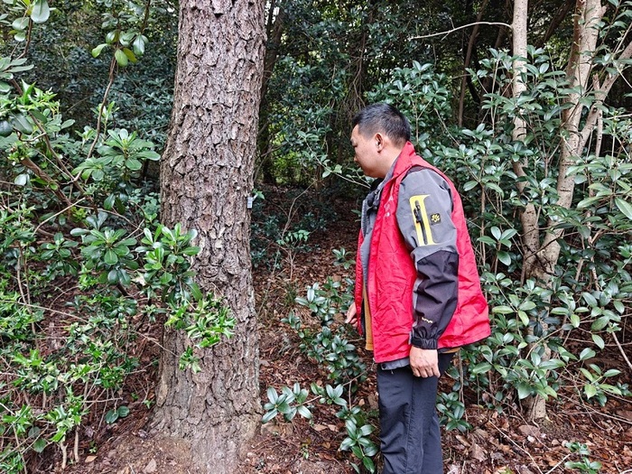 生兴工作人员释放肿腿蜂.jpg
