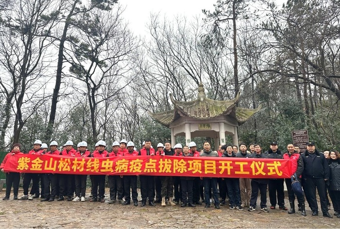 紫金山松材线虫病疫点拔除开工
