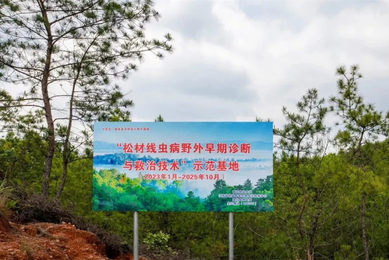江西遂川松材线虫病早期救治示范基地.jpg