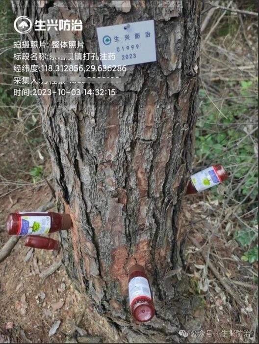 生兴防治松材线虫病常温注干剂