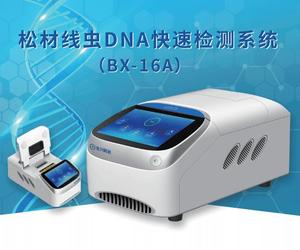 松材线虫DNA快速检测系统（BX-16A定制型）