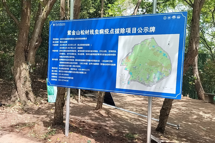 紫金山松材线虫病疫点拔除项目公示牌