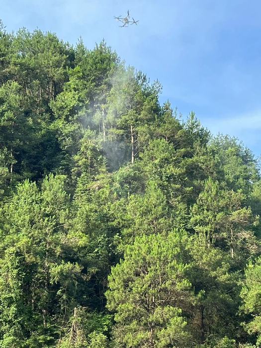 生兴防治松材线虫病新型药剂飞防