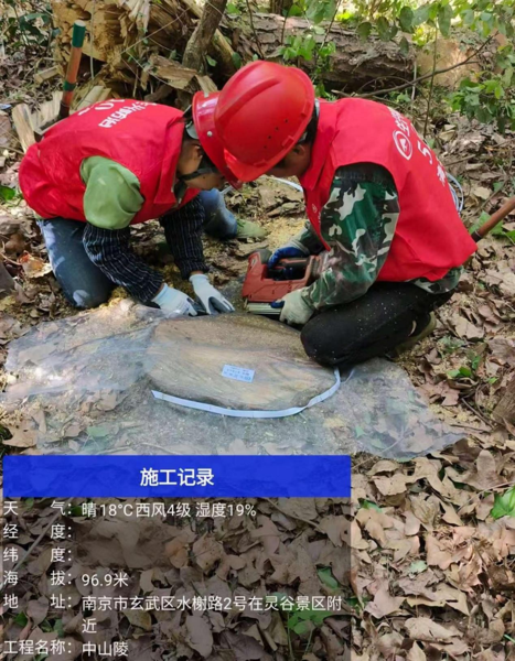 疫木除治伐桩处理.png