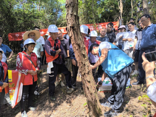 安徽休宁县中央财政林业科技推广示范项目