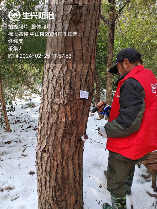 打孔注药图片.png