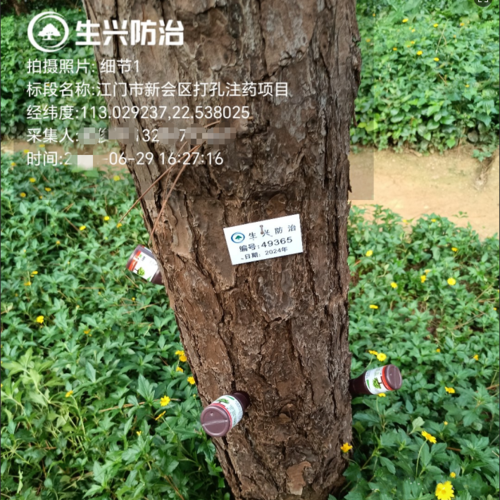 南京生兴常温注干剂应用-广东.png