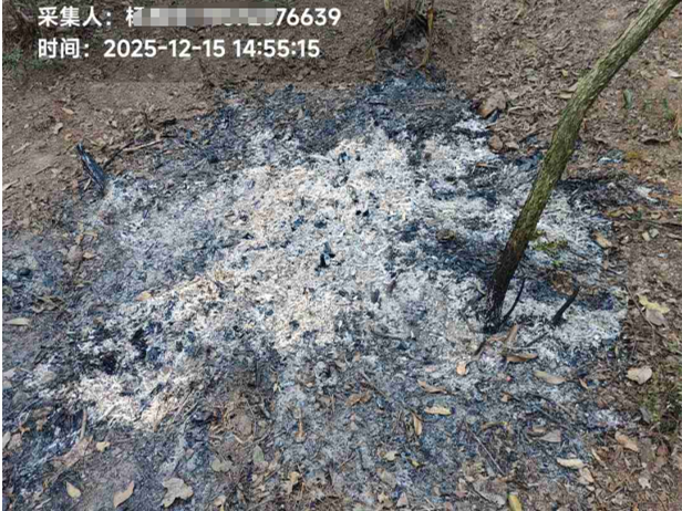 疫木除治-焚烧3 - 副本.png