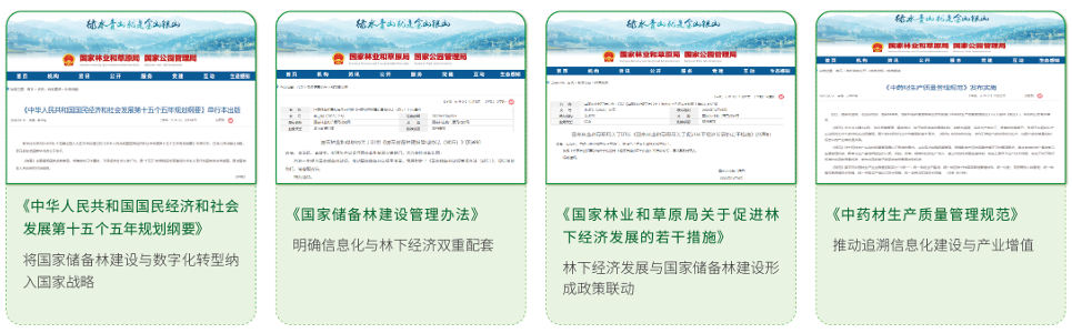 林业高质量发展政策支持.png