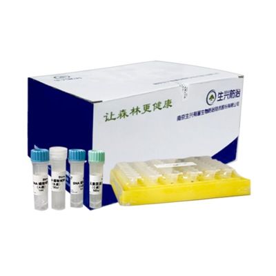 松材线虫DNA检测试剂盒