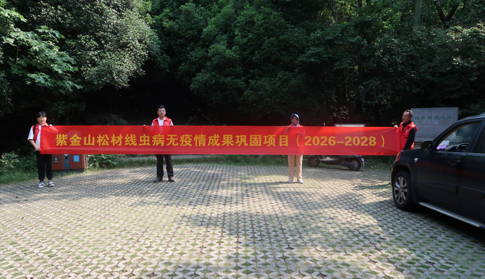 成果巩固项目202606a.png