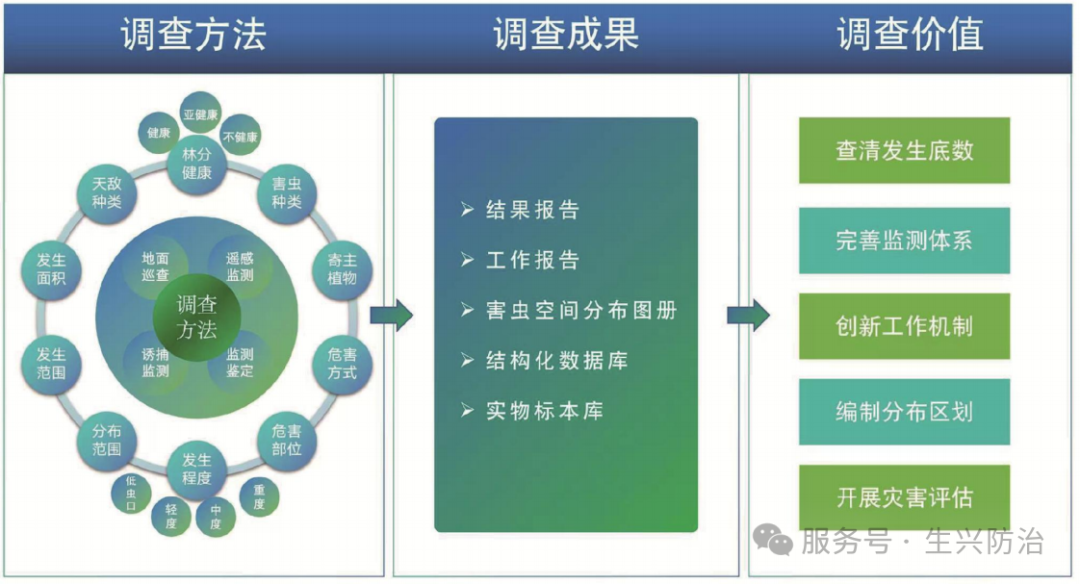 生兴防治松科植物钻蛀类害虫系统调查解决方案